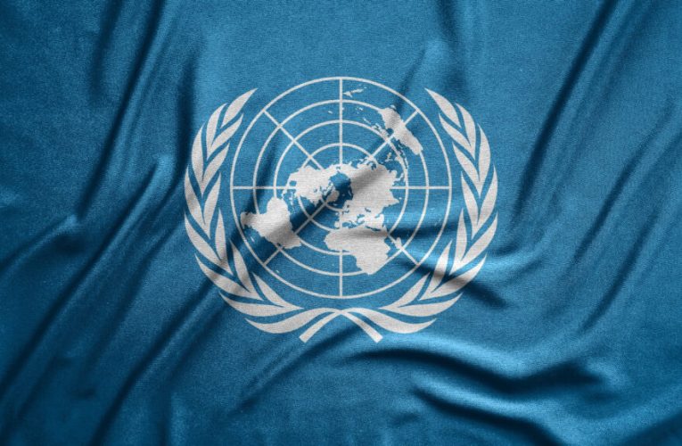 Premieră la ONU. Curtea Supermă a decis ca țările să se poată da în judecată reciproc în legătură cu schimbările climatice