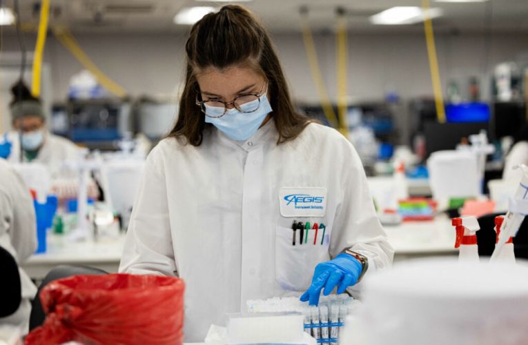 Stratus, noua variantă de COVID mai contagioasă, monitorizată de OMS