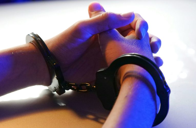 Tânăr din Franța, adept al mișcării „incel”, arestat pentru plănuirea unor atacuri violente asupra femeilor
