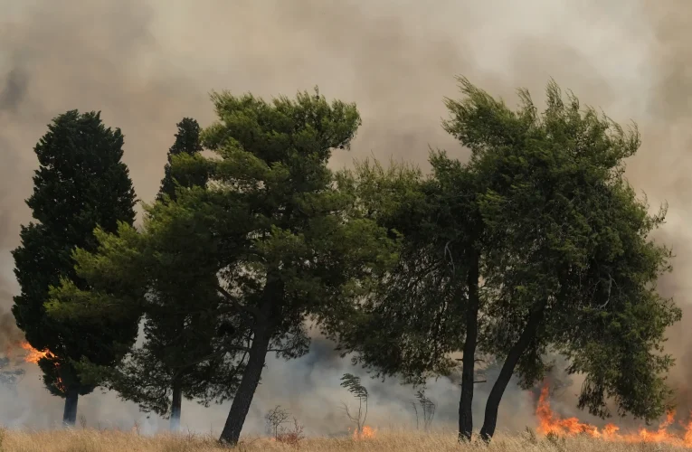 Turcia și Albania se confruntă cu mari incendii de vegetație după valuri de caniculă extremă
