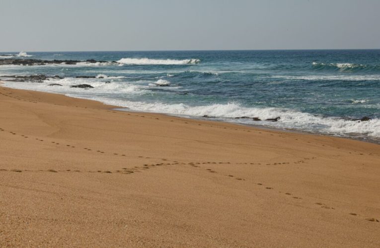 Coreea de Nord și-a deschis ușile pentru primii turiști străini din Rusia. Cum a arătat vacanța lor?