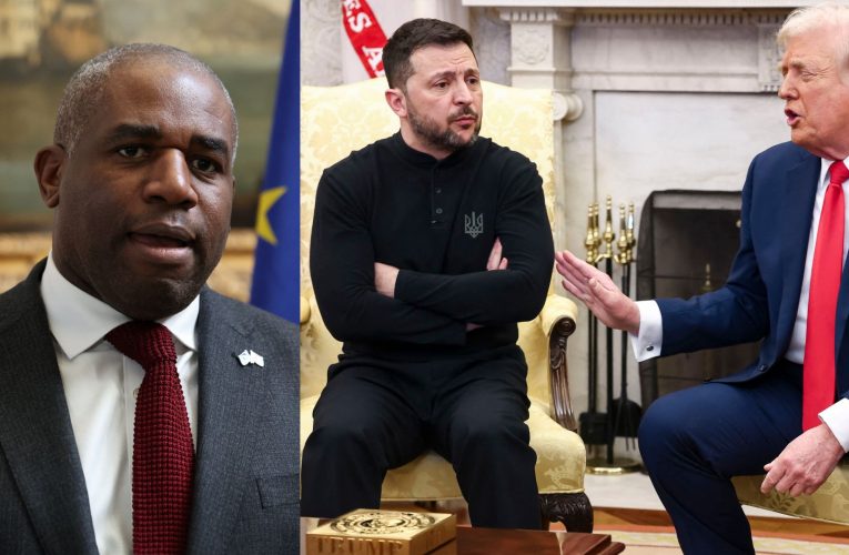 David Lammy se simte vinovat pentru disputa dintre Zelenski și Trump