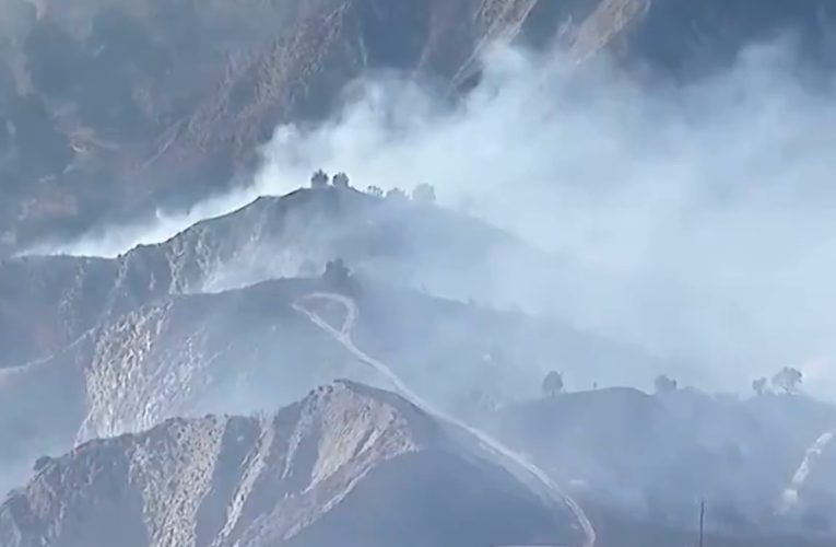 Evacuări urgente în nordul Los Angelesului din cauza unui incendiu de vegetație care se extinde rapid