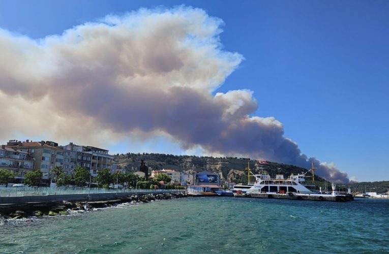 Incendii majore de vegetație în Turcia: traficul maritim, închis în stâmtoarea Dardanele