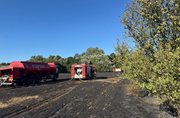 Incendiu de vegetație în Ilfov: 7 hectare, o locuință și două mașini afectate