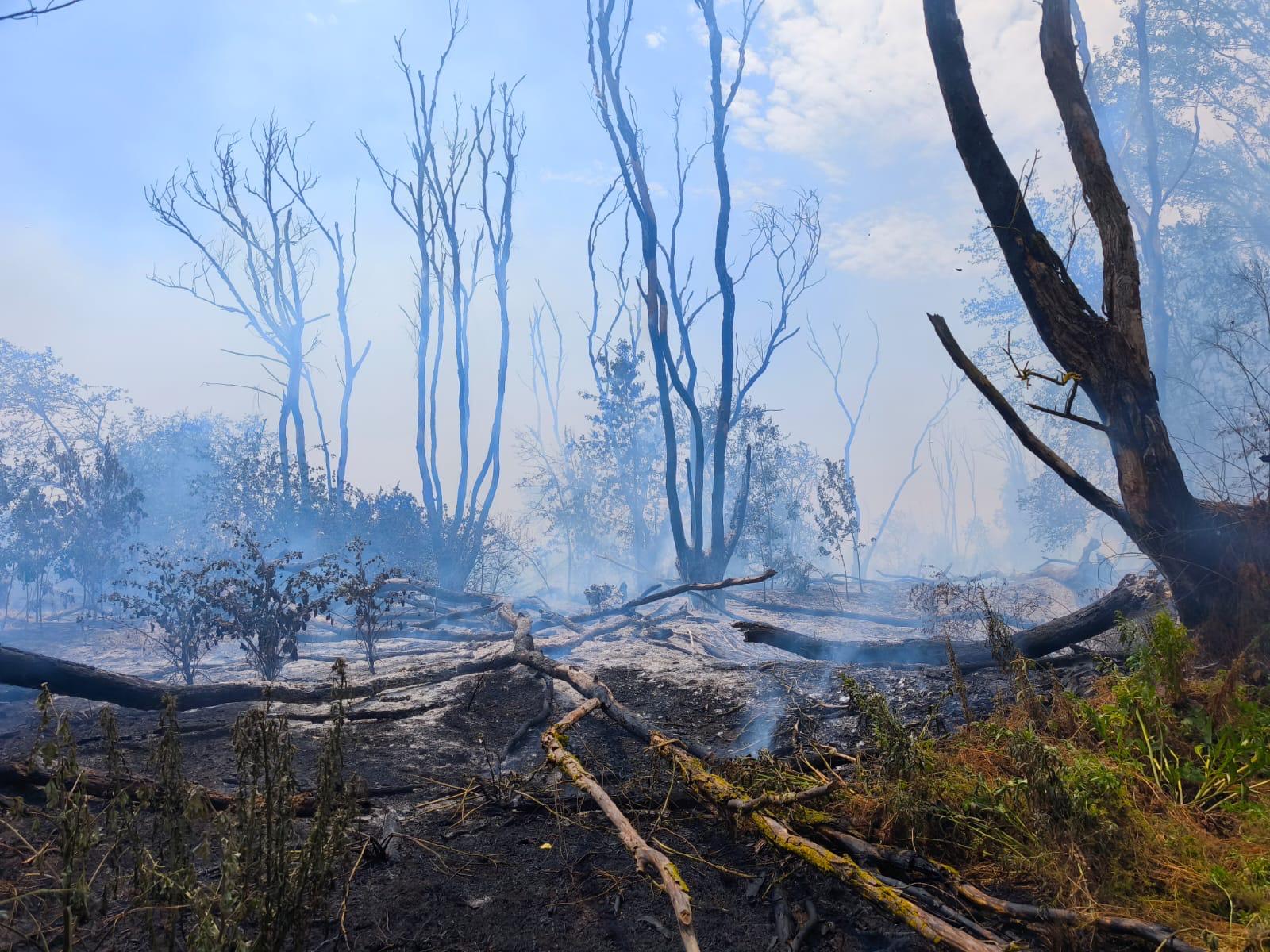 Incendiu în Chilia Veche: Pompierii vor relua acţiunile de stingere sâmbătă dimineaţă