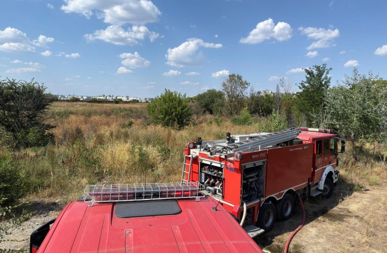 Incendiu puternic lângă Delta Văcărești, localizat după o intervenție de amploare a pompierilor