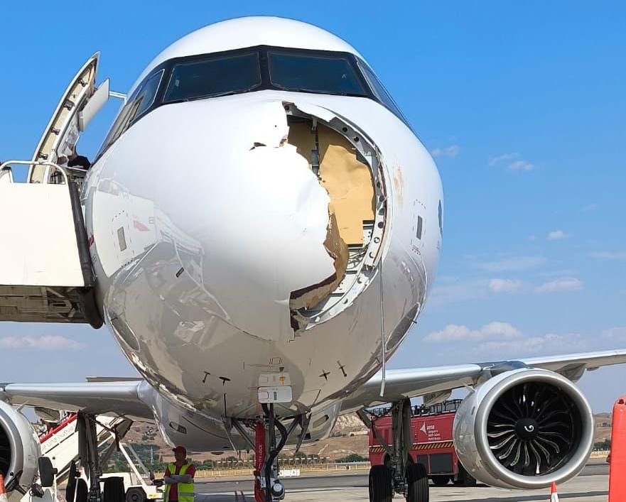 Momente de panică la bordul unui avion cu destinația Paris. Vârful aeronavei, rupt în urma impactului cu o pasăre