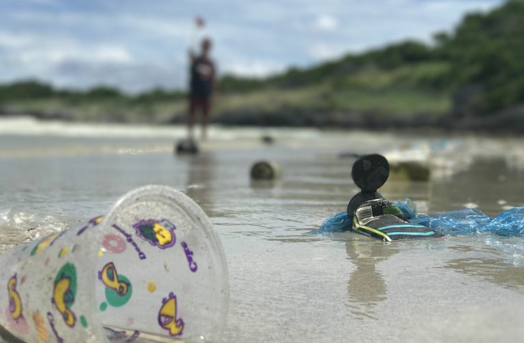 Nu s-a ajuns la un acord privind tratatul pentru combaterea poluării cu plastic la Geneva