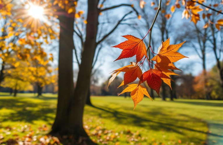 Prognoza pentru următoarele 2 săptămâni. Cum vor fi ultimele zile vară și primele de toamnă