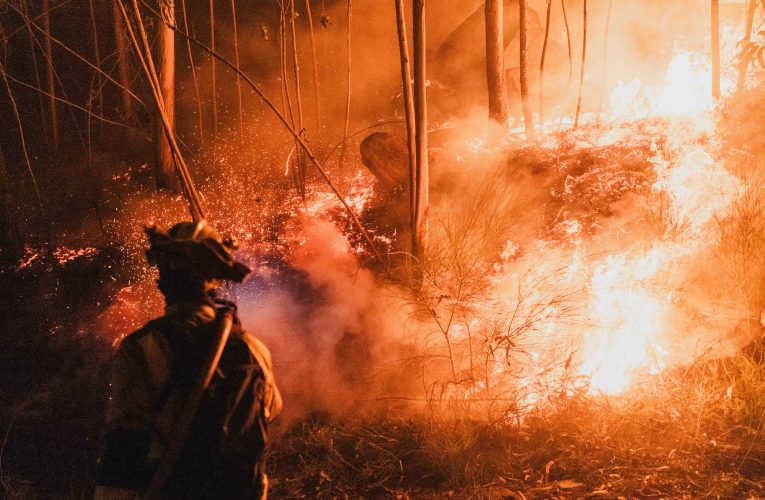 România sprijină Spania în lupta cu incendiile de vegetație