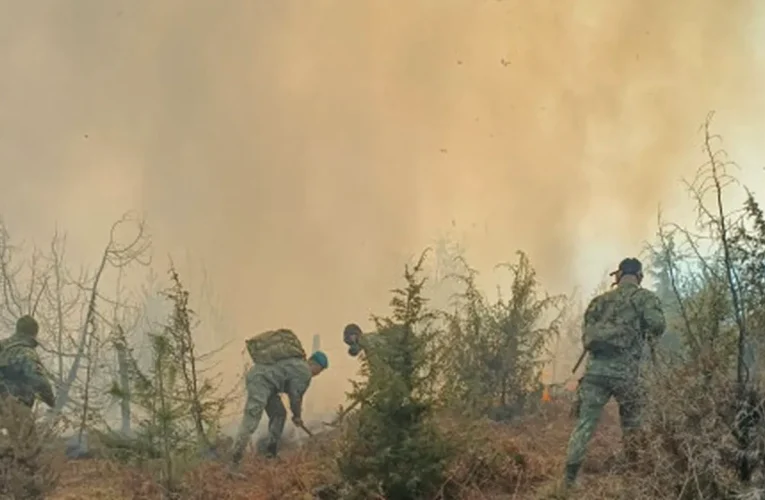 Spania anunță sfârșitul incendiilor devastatoare care au ars 350.000 de hectare