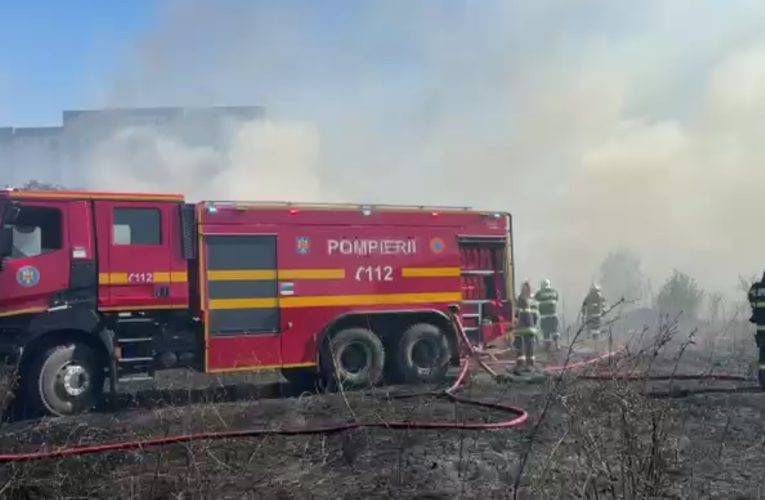 Alertă în Vâlcea! Un incendiu de vegetație a afectat patru hectare de teren