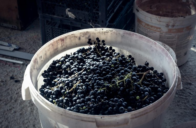 Avertismentul pompierilor: Risc de intoxicație cu gaze în timpul fermentării mustului