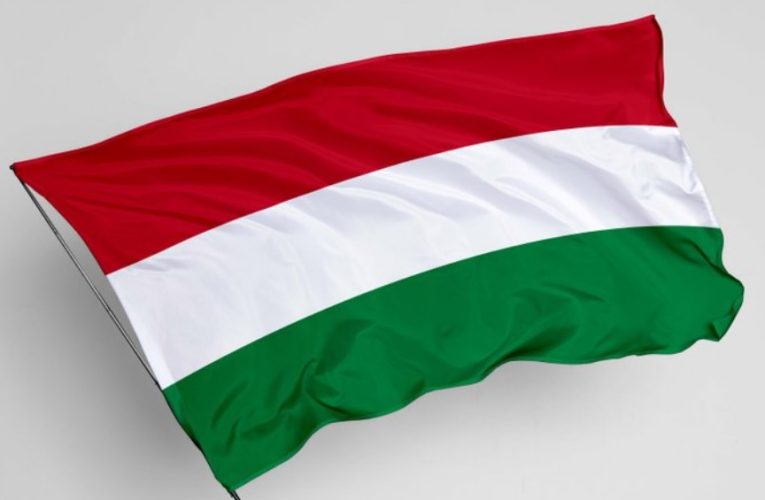 Consiliul Concurenței analizează preluarea Napolact de cătra firma ungurească Bonafarm Zrt / Patronul ar fi un oligarh maghiar, apropiat al lui Viktor Orbán