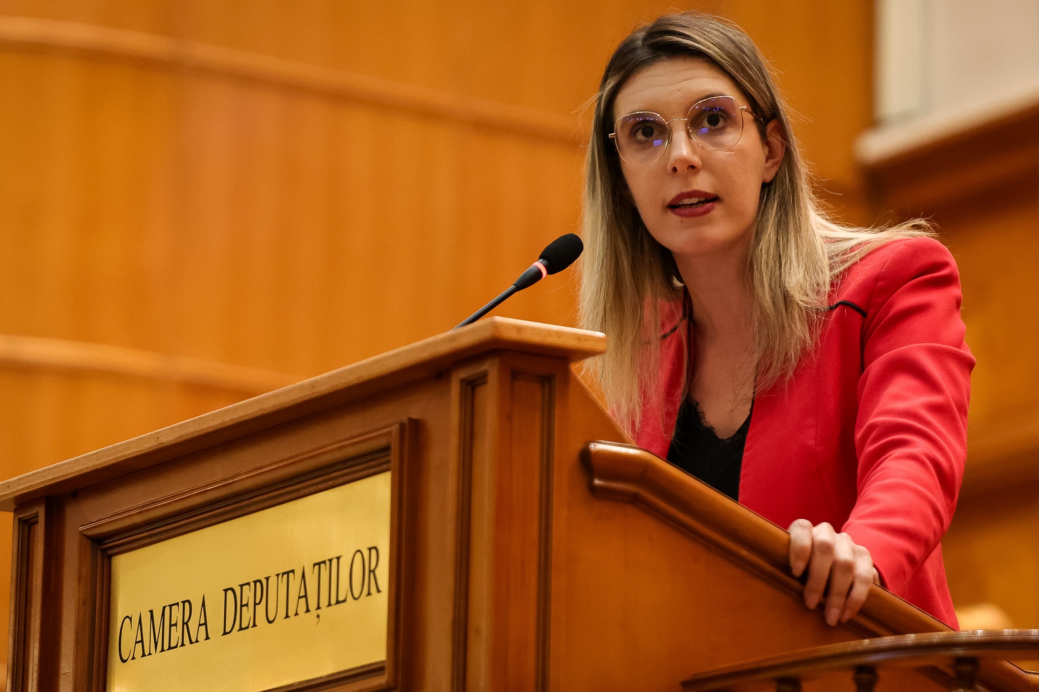 Diana Buzoianu: Delta Văcărești e protejată prin lege, dar fără consecințe dure, problemele se repetă