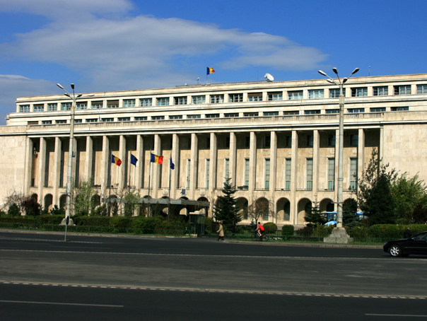 Guvernul va fi iluminat în verde în semn de susţinere pentru persoanele ce suferă de o afecţiune rară