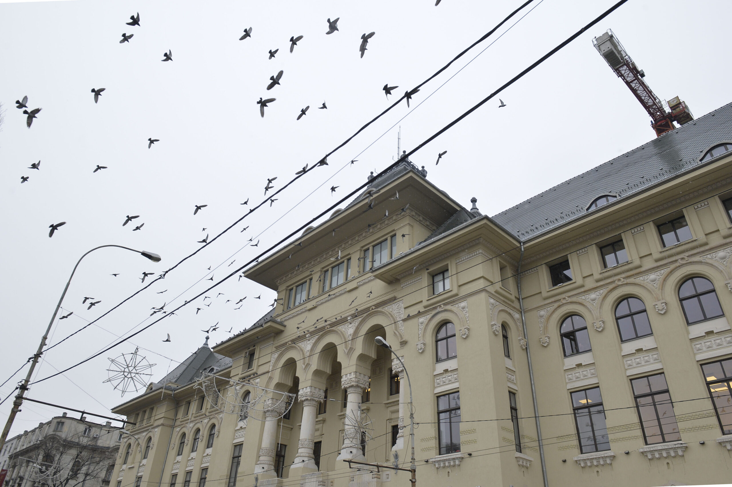 Nicușor Dan își dorește ca alegerile pentru Primăria Capitalei să aibă loc cât mai repede