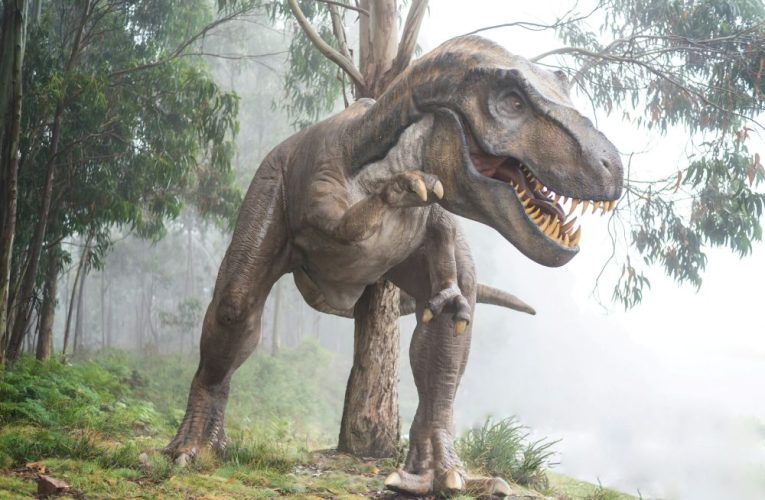 Nu asteroidul ar fi fost cauza dispariției tuturor dinozaurilor. Ce arată ultimele teste pe fosilele acestora