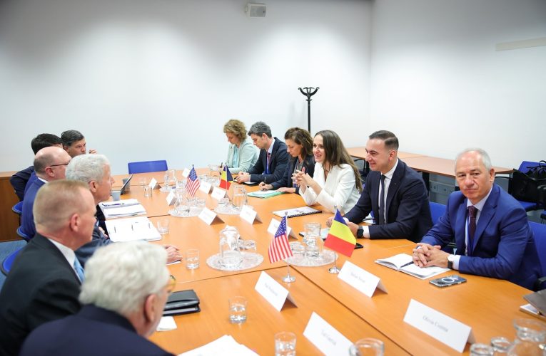 Oana Țoiu a prezentat la Viena aportul României la securitatea nucleară globală