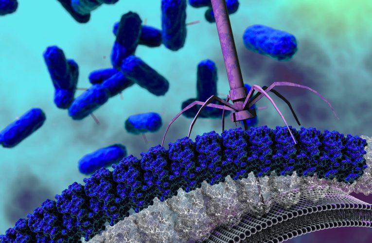 Un cocktail viral distruge 99% din superbacteriile din spitale, rezistente la antibiotice