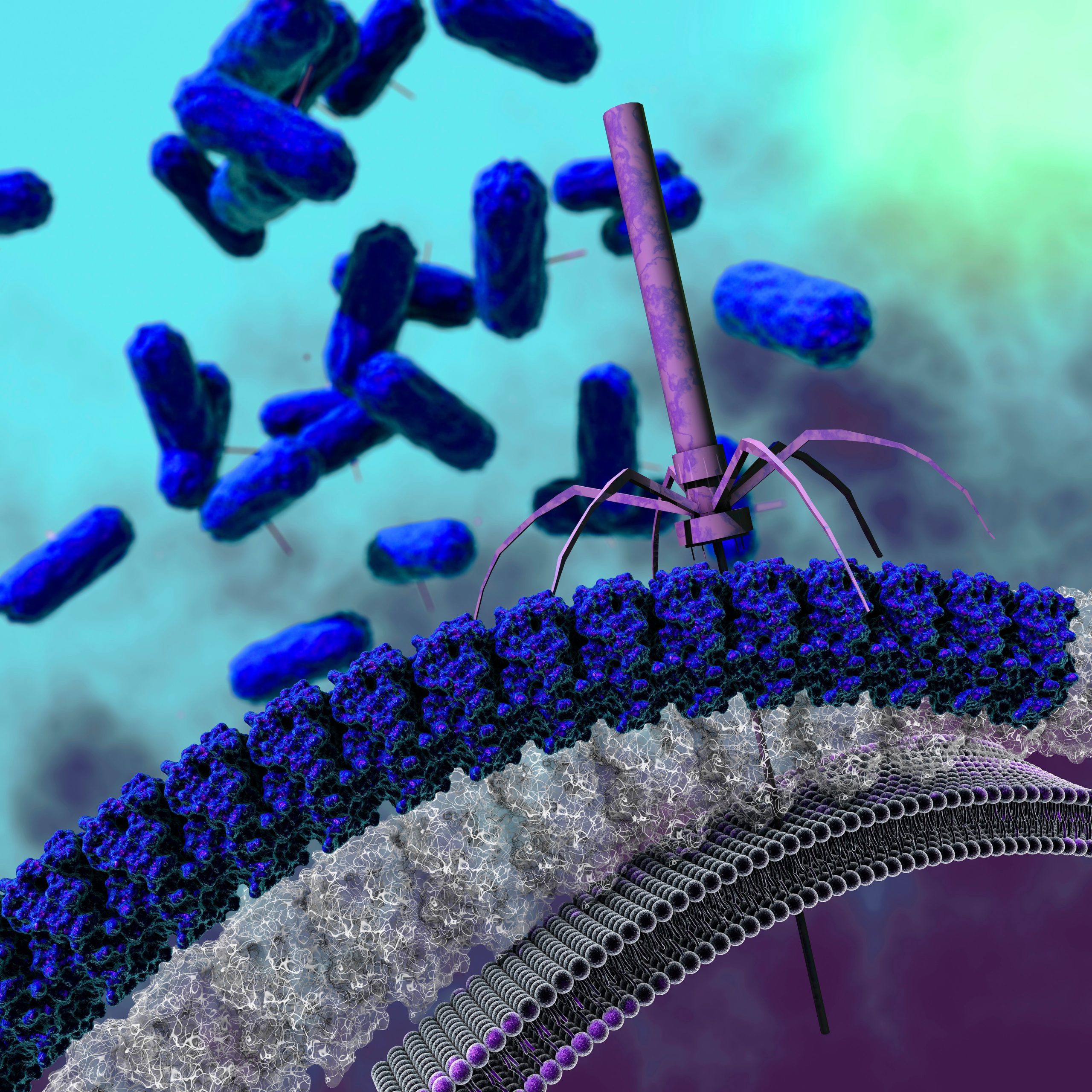 Un cocktail viral distruge 99% din superbacteriile din spitale, rezistente la antibiotice