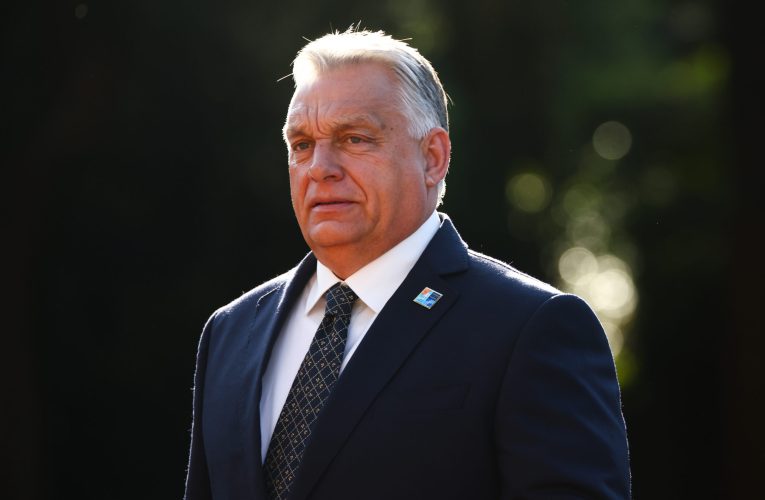 Viktor Orban susține că va fi „haos” dacă partidul pro-UE va câștiga alegerile în Ungaria