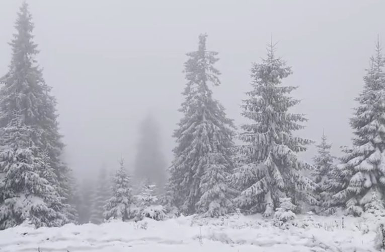 A nins în zona montană înaltă: Stratul de zăpadă a ajuns la 3 centimetri la stația meteo Iezer