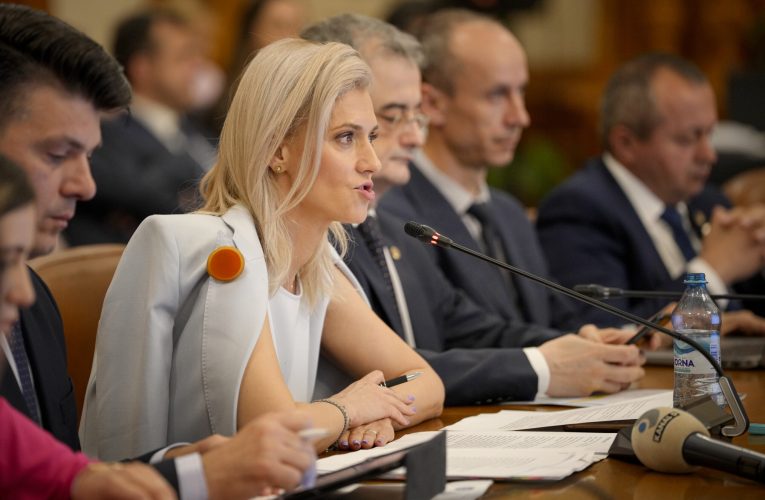 Alina Gorghiu: Femicidul trebuie pedepsit cu până la 20 de ani sau închisoare pe viață