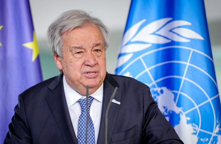 Amazonul riscă să devină savană – avertisment dur înaintea COP30