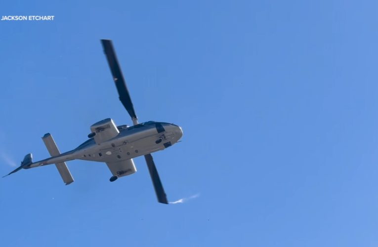 Cinci răniți după ce un elicopter s-a prăbușit peste palmierii din fața unui hotel din California