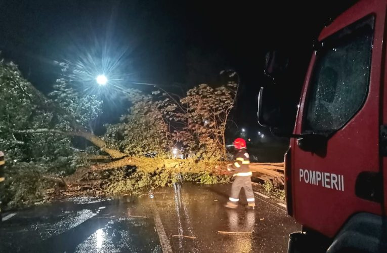 Cod portocaliu în Teleorman: Gospodării fără curent, copaci căzuți și stâlpi avariați