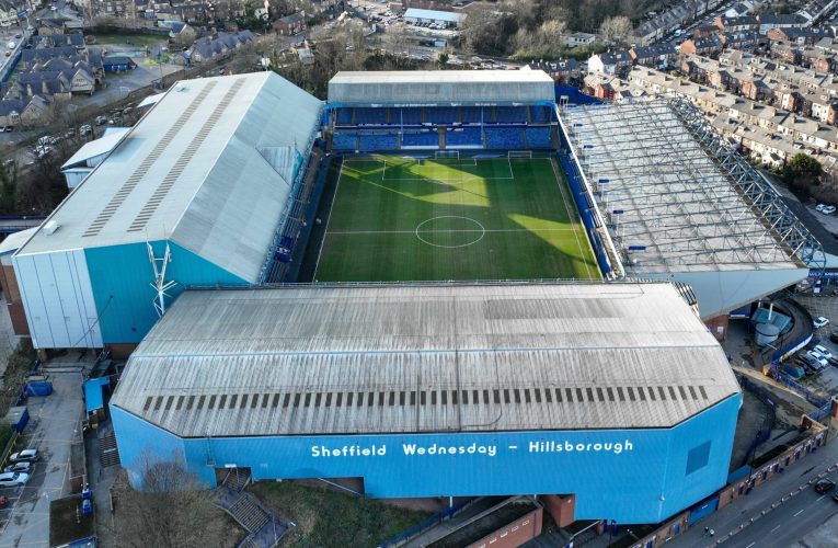 Fanii lui Sheffield Wednesday au intrat pe teren în semn de protest față de conducerea clubului