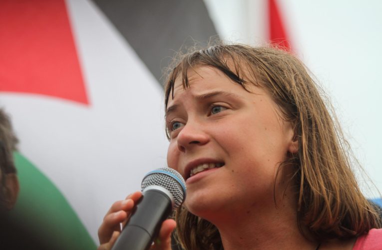 Greta Thunberg afirmații dure: „Am fost răpiți și torturați de armata israeliană”