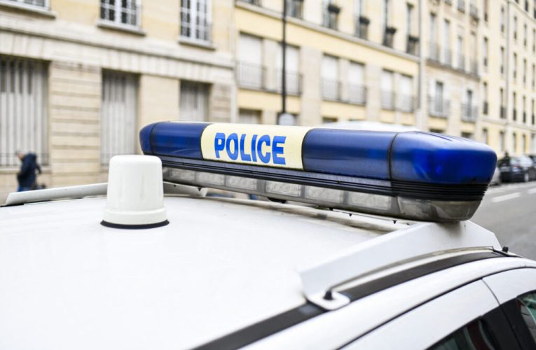 Maimuțe scapate după un accident rutier în Mississippi, ucise din greșeală de poliție