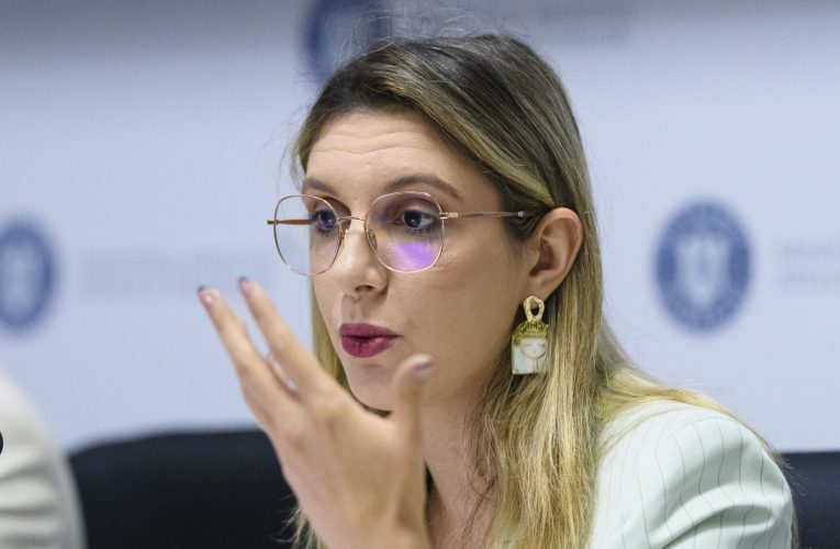 Ministra mediului, Diana Buzoianu, a convocat şedinţă de urgenţă din cauza alertelor meteo de vânt şi viituri