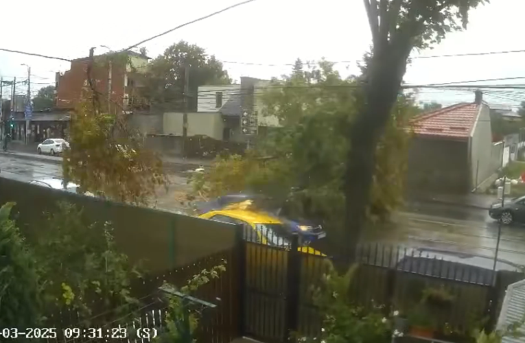 Momentul în care un copac este doborât de vânt peste mașini aflate în mers, în București