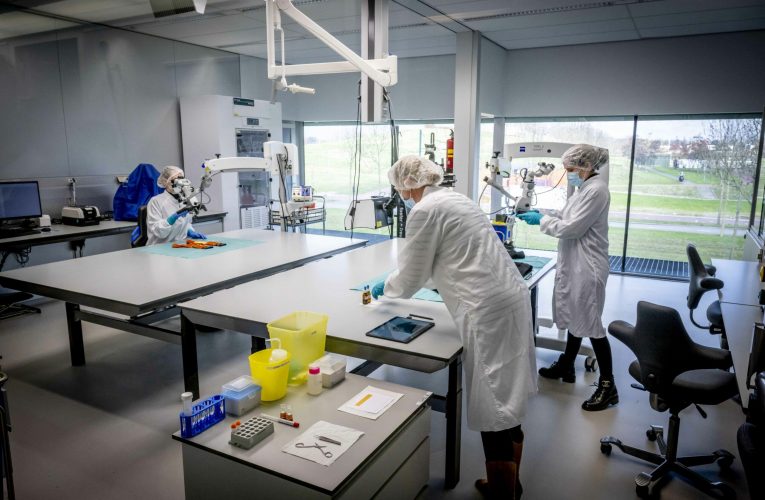 Noul test ADN care ar putea prezice cancerul înainte ca acesta să se dezvolte