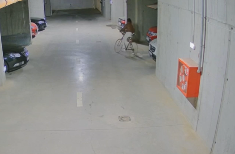 O tânără din Capitală a furat o bicicletă, apoi s-a întors să fure şi cuptorul de pizza