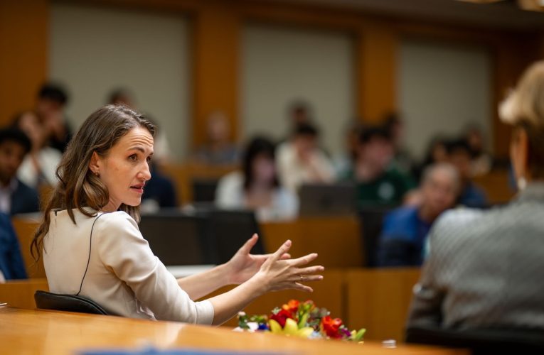 Oana Țoiu, despre achizițiile militare ale țării: România are un plan de 16 miliarde euro