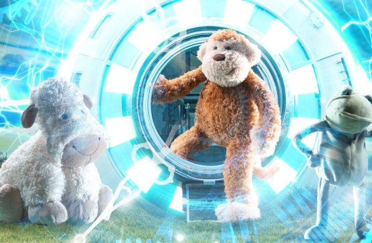 Obsesia jucăriilor pentru adulți: Jellycat cucerește lumea și portofelele generației Z