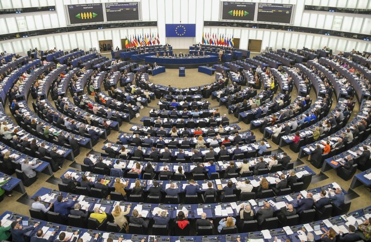 Parlamentul European spune adio burgerilor și cârnaților vegetali. Termenii, oficial interziși!