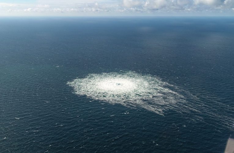 Polonia nu grăbește extrădarea în Germania a suspectului ucrainean din cazul Nord Stream