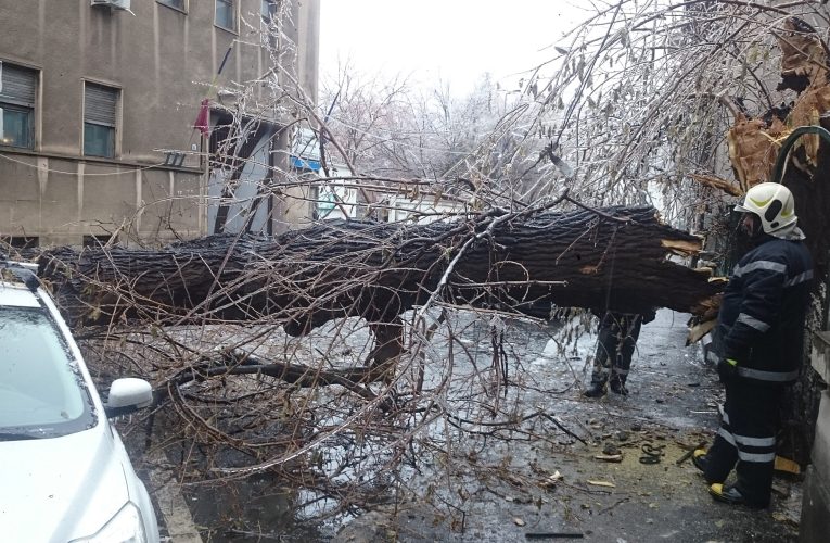 Pompierii din Giurgiu au intervenit după furtună pentru degajarea copacilor și cablurilor avariate