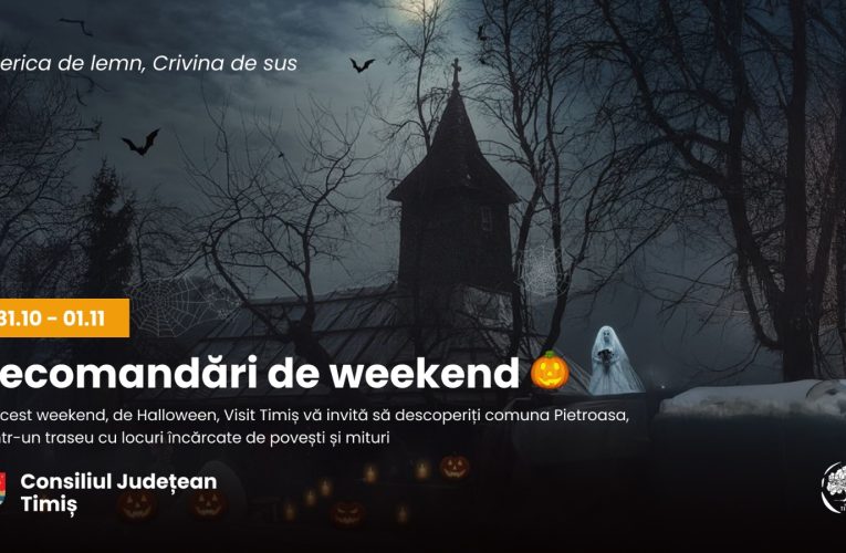 Recomandare de weekend-Visit Timiș