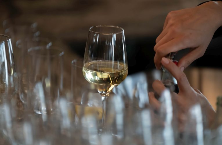 Schimbările climatice rescriu harta vinului. Suedia devine o patrie a podgoriilor