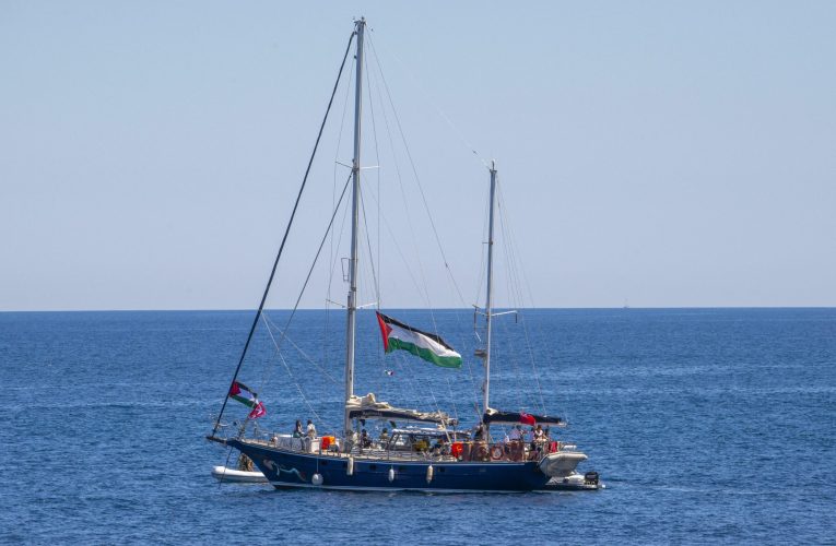 Senator irlandez reținut pe flotila cu ajutoare pentru Gaza