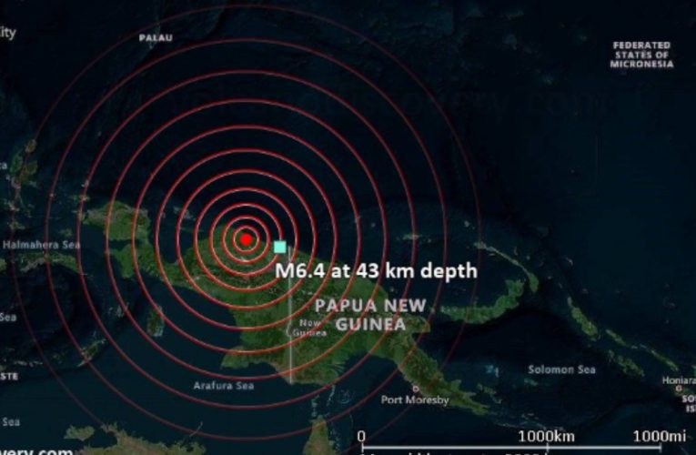 Un cutremur cu magnitudinea de 6,7 a lovit Papua, Indonezia