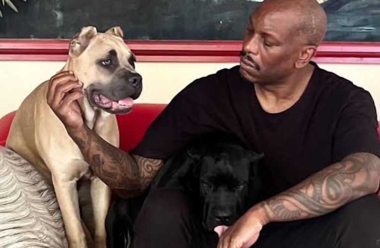 Vedeta din „Fast and Furious”, Tyrese Gibson, urmărit de poliție. Câinii săi ar fi ucis animalul de companie al unui vecin