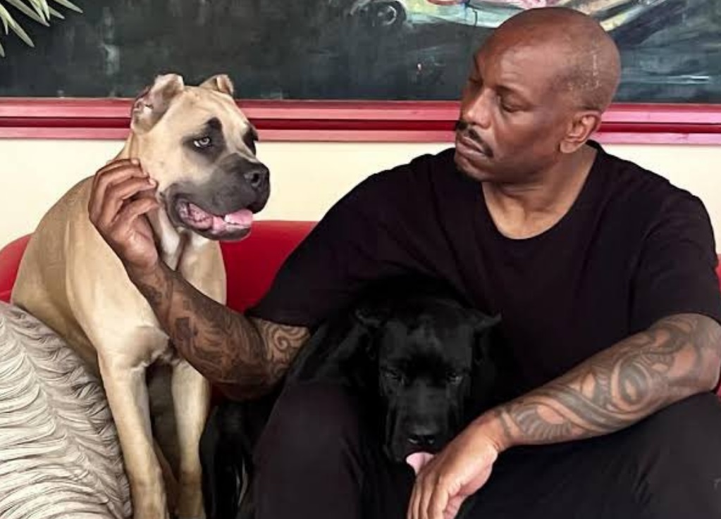 Vedeta din „Fast and Furious”, Tyrese Gibson, urmărit de poliție. Câinii săi ar fi ucis animalul de companie al unui vecin